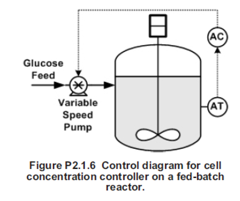 Solved We are trying to produce yeast cells in a fermenter | Chegg.com