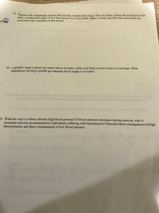 Solved 61. Reptiles teck a diaphragm mescle. How do they