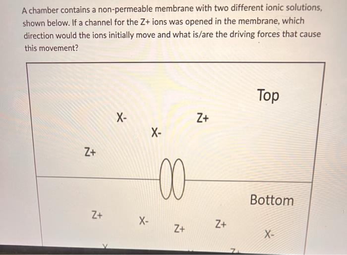 student submitted image, transcription available below