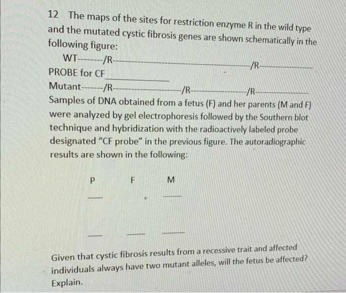 Solved 12 The maps of the sites for restriction enzyme R in | Chegg.com