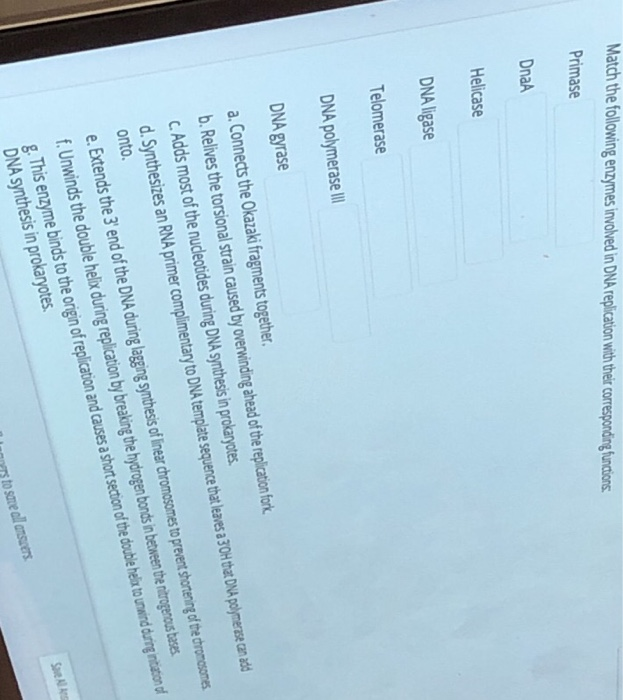 Solved Match the following enzymes involved in DNA