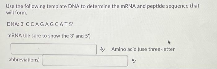 Solved Use the following template DNA to determine the mRNA | Chegg.com