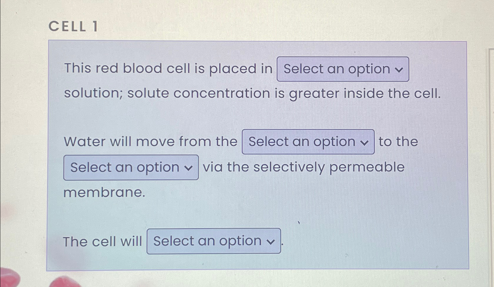 Solved CELL 1This red blood cell is placed in solution; | Chegg.com