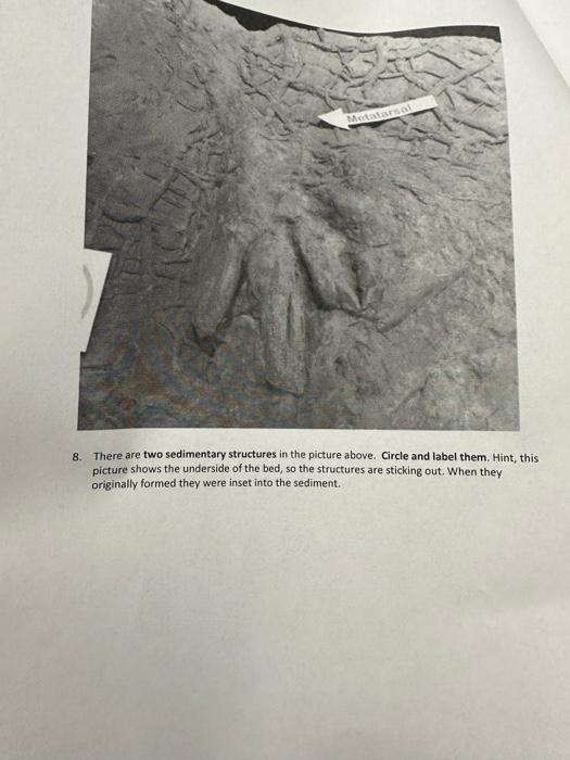 Solved 2. Examine the figure above and answer the following: | Chegg.com