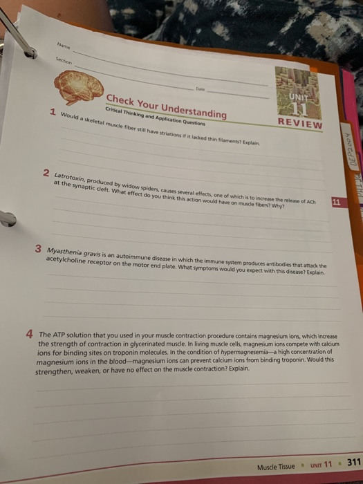 Elements of critical thinking picture