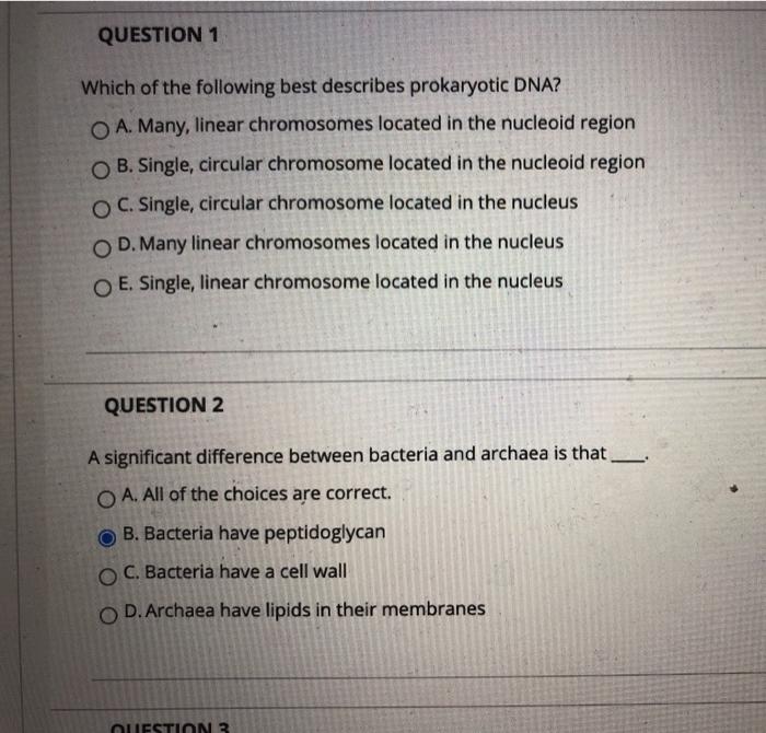 Solved QUESTION 1 Which of the following best describes | Chegg.com