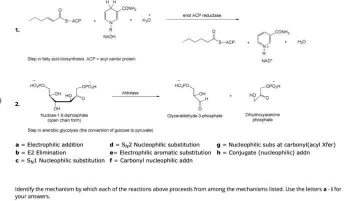 Solved 1. NaB A= Electrophilic Addition B= E2 Elimination | Chegg.com