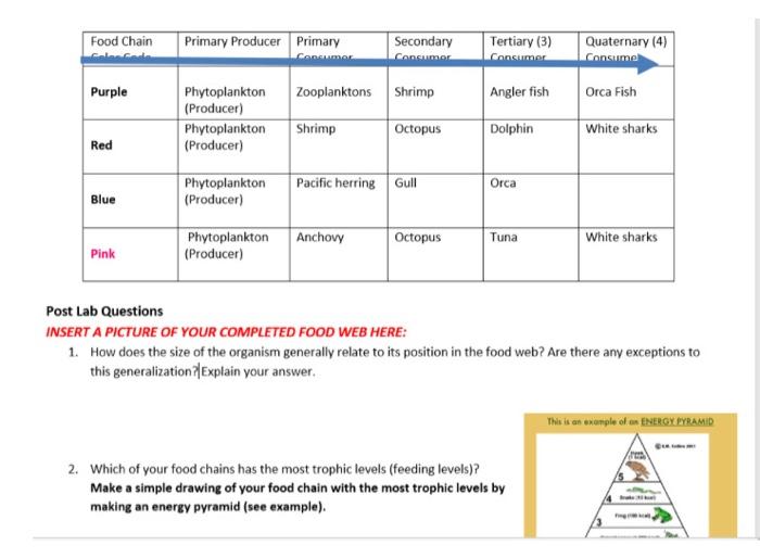 Solved Food Chain Primary Producer Primary Secondary Biology Diagrams