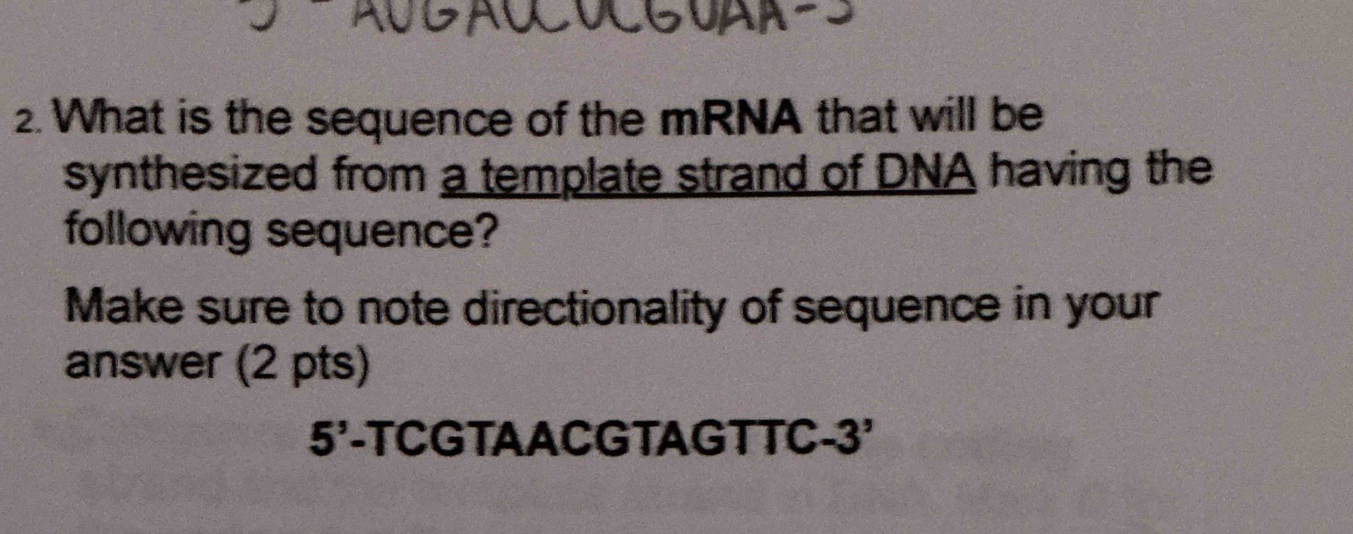 Solved 2. ﻿What is the sequence of the mRNA that will be | Chegg.com