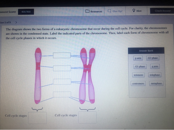 Solved iment Score: 400/900 Resources [ Give Up? O Hint | Chegg.com