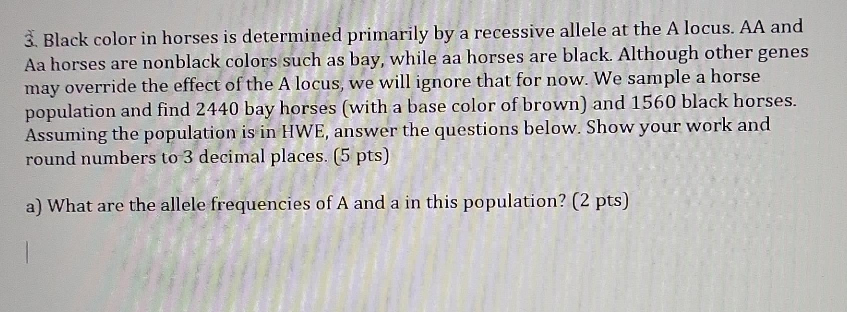 Solved Black color in horses is determined primarily by a | Chegg.com