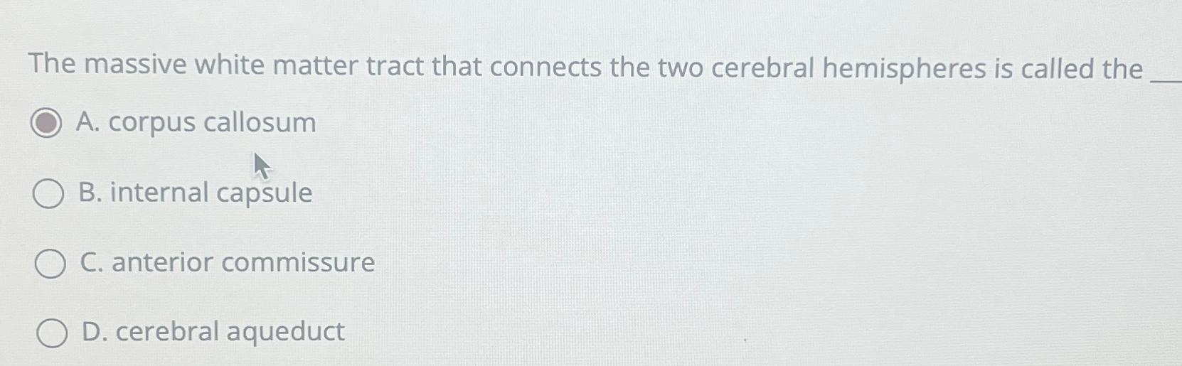 Solved The massive white matter tract that connects the two | Chegg.com