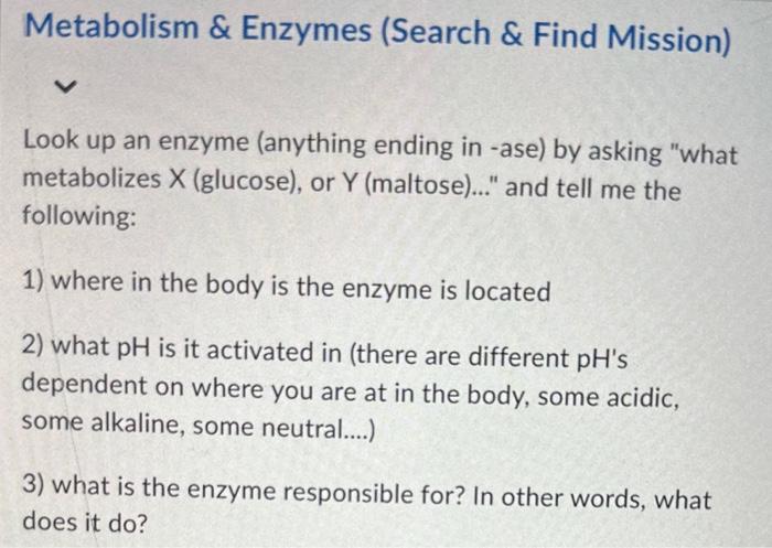 Mastering Enzymes The Ase Rule You Must Know - j08id0g