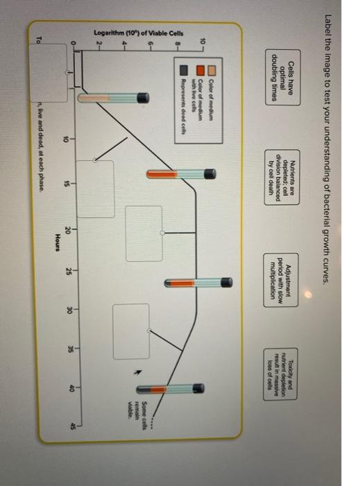 Solved Label the image to test your understanding of | Chegg.com