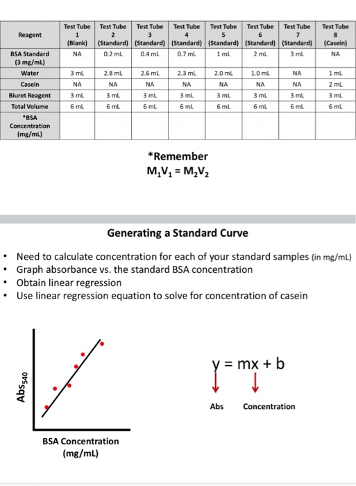 Solved How Do I Get The Bsa Concentration So That I Can Do | Chegg.com