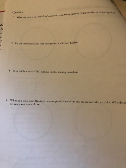 solved-questions-what-does-the-term-acid-fa-mean-are-chegg