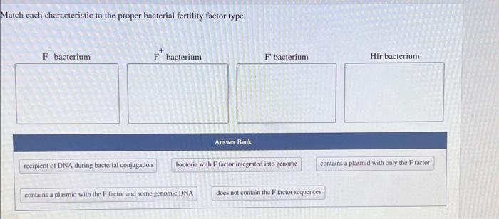 Solved Match each characteristic to the proper bacterial | Chegg.com