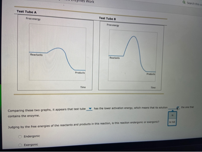 Solved 4.4 Conceptual Learning Activity: How Enzymes Work Q | Chegg.com