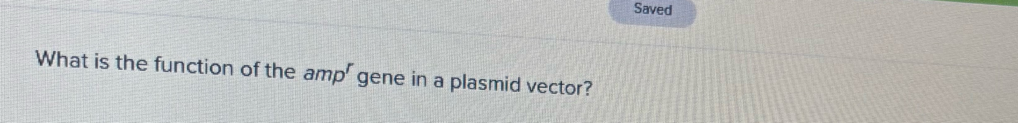 Solved What is the function of the ampr ﻿gene in a plasmid | Chegg.com