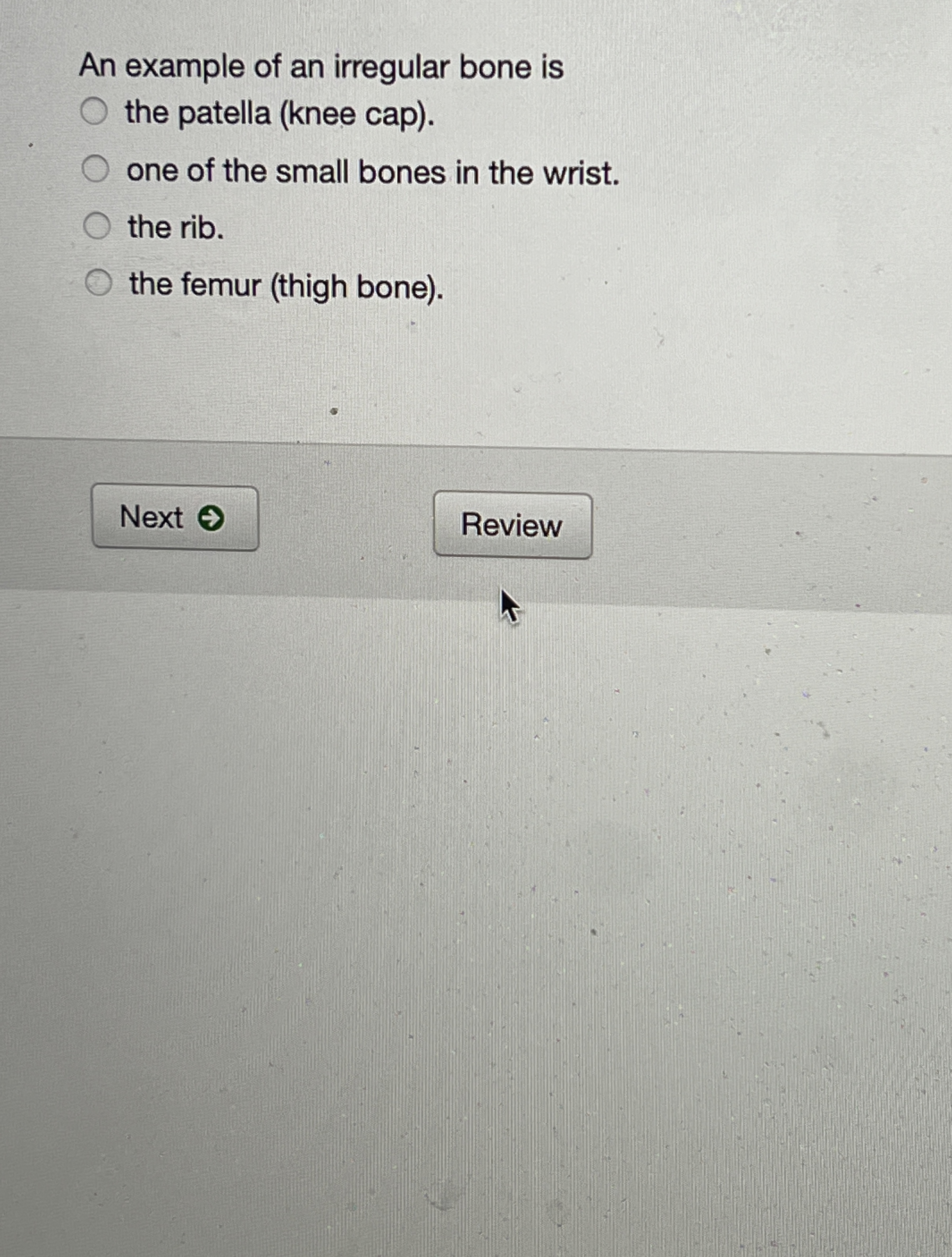 Solved An example of an irregular bone isthe patella (knee | Chegg.com