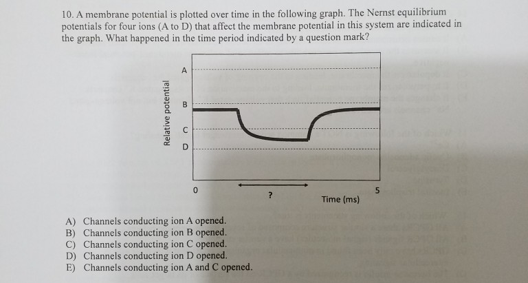 Solved 10. A membrane potential is plotted over time in the | Chegg.com