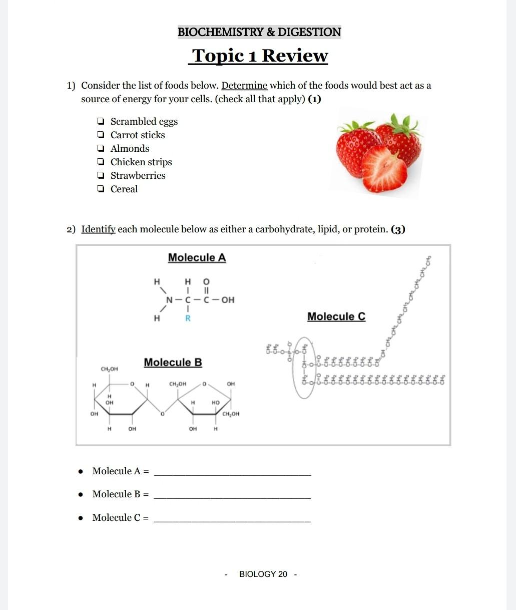 solved-biochemistry-digestion-topic-1-review-1-consider-chegg