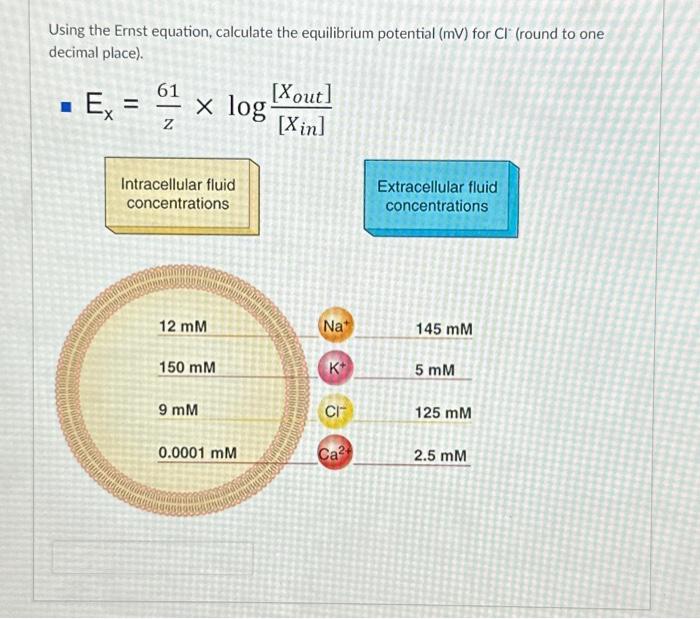 Using the Ernst equation, calculate the equilibrium