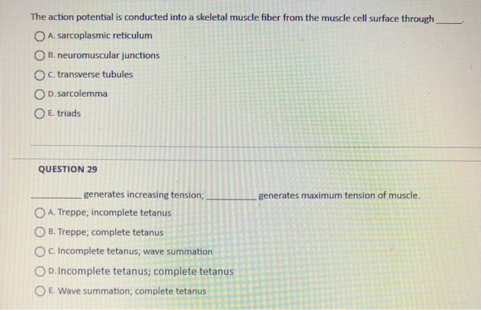 Solved The action potential is conducted into a skeletal | Chegg.com