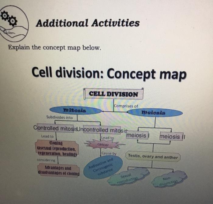 Mitosis And Meiosis Concept Map Solved 00 Additional Activities Explain The Concept Map | Chegg.com