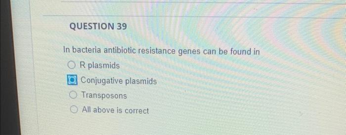 Solved In bacteria antibiotic resistance genes can be found | Chegg.com