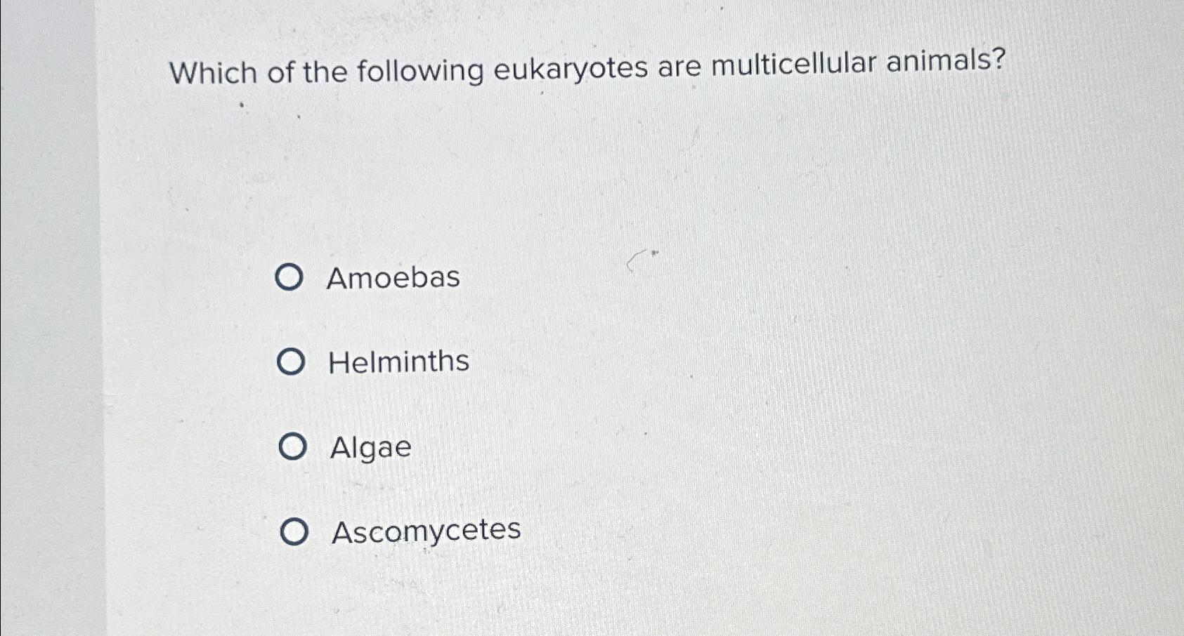 Solved Which of the following eukaryotes are multicellular | Chegg.com