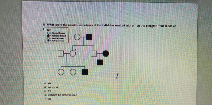Solved 8 What Is Are The Possible Cenotvoes Of The Indiv Chegg Com