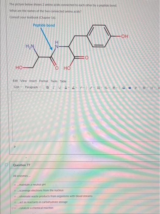 Solved The picture below shows 2 amino acids connected to | Chegg.com