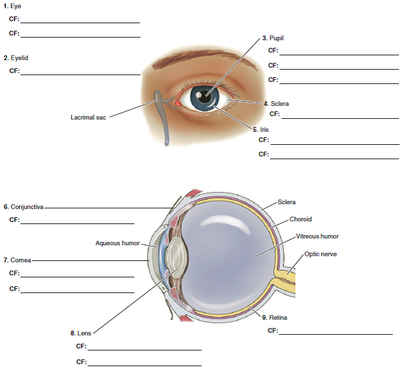 Diagrams of the eye. Fill in the blanks with combining