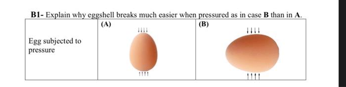 Solved B1- Explain why eggshell breaks much easier when | Chegg.com
