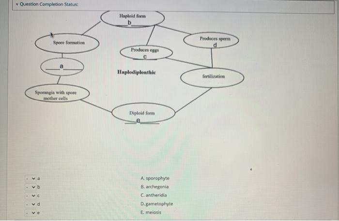 Match The Letter On The Diagram To The Appropriate Structure