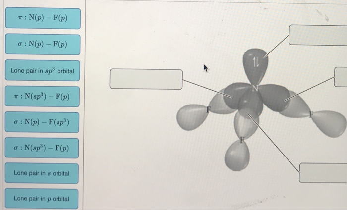 Solved O N Sp F P Lone Pair In S Orbital Lone Pair I Chegg Com