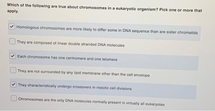 in a chromosome which of the following is true