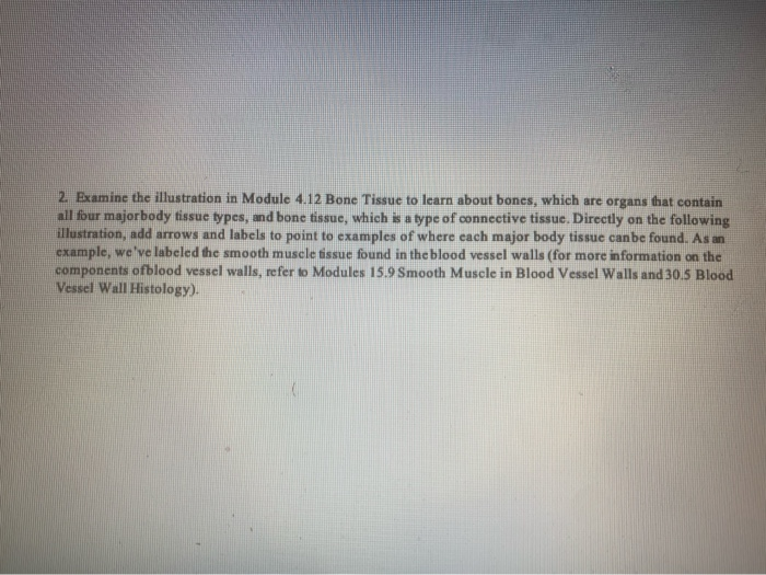 Solved 2. Examine the illustration in Module 4.12 Bone | Chegg.com