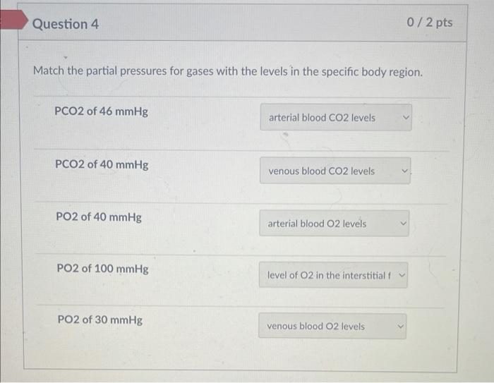 Solved Match the partial pressures for gases with the levels | Chegg.com