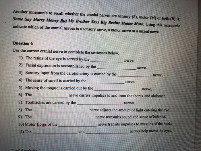 Solved Another Mnemonic To Recall Whether The Cranial Ner Chegg Com