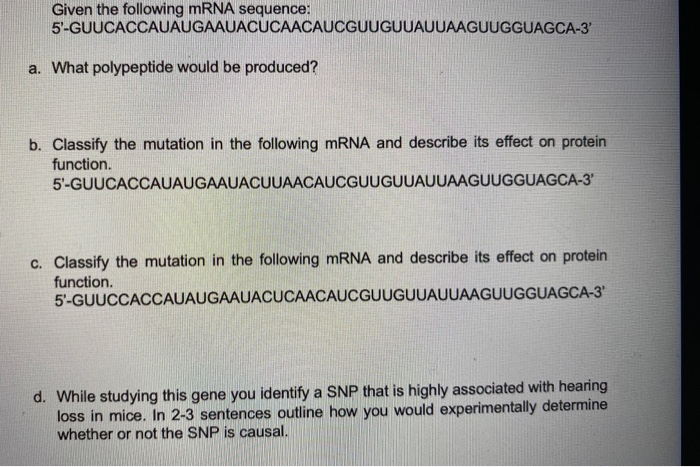 Solved Given the following mRNA sequence: | Chegg.com
