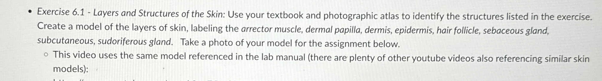 Solved Exercise 6.1 - ﻿Layers and Structures of the Skin: | Chegg.com