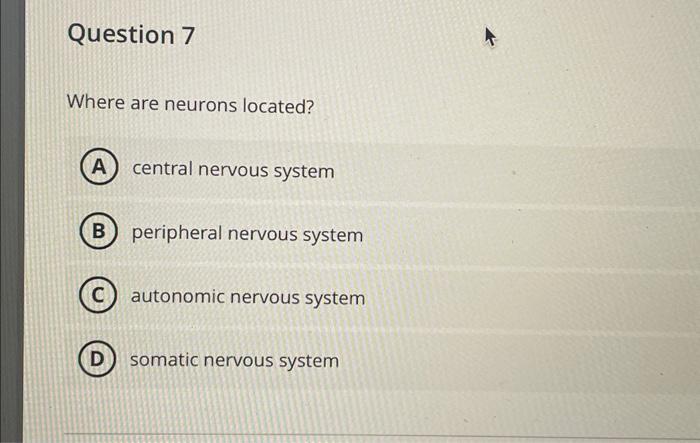 Solved Where are neurons located? central nervous system | Chegg.com