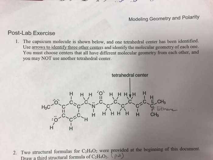 Solved Modeling Geometry and Polarity PostLab Exercise 1.