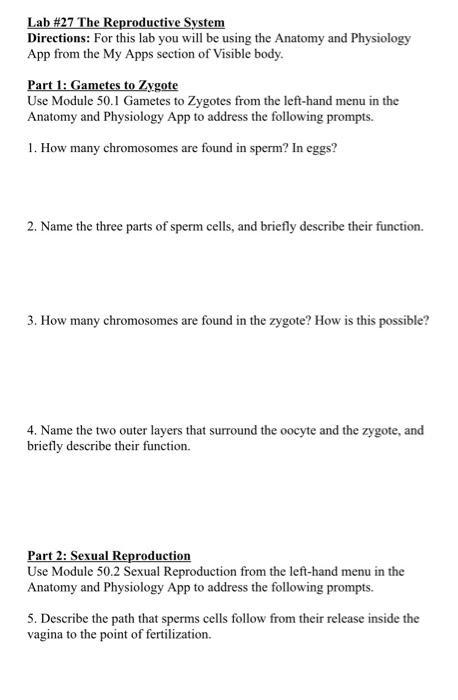 Solved Lab #27 The Reproductive System Directions: For This | Chegg.com