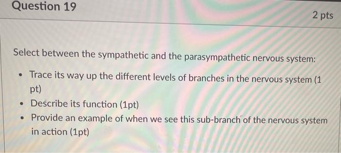 Solved Question 20 Explain what the difference is between an | Chegg.com