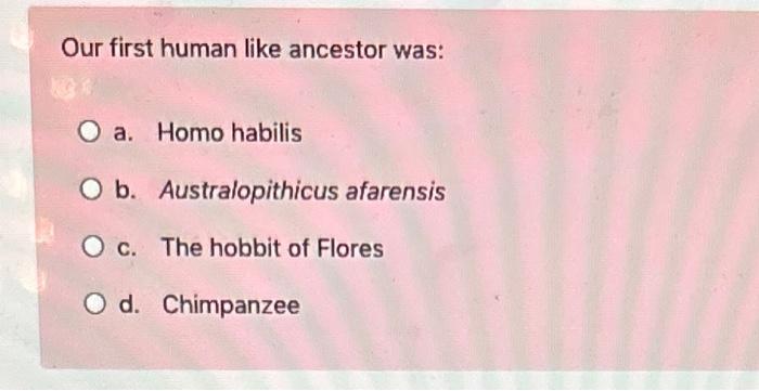 Our first human like ancestor was:
a. Homo habilis
b. Australopithicus afarensis
c. The hobbit of Flores
d. Chimpanzee