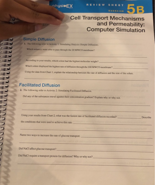 Solved PhysieEX REVIEW SHEET 5B EXERCISE Cell Transport Chegg
