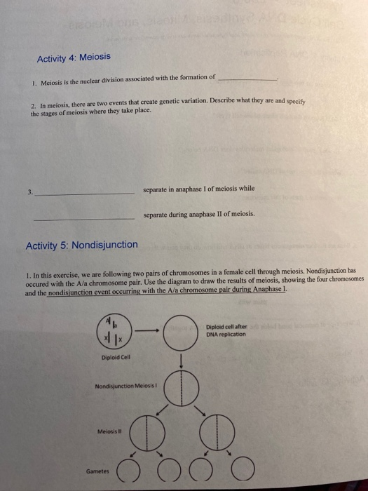 Solved Activity 4: Meiosis 1. Meiosis is the nuclear | Chegg.com